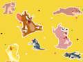 The Tom and Jerry Show Find it! 