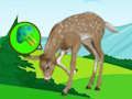 The Deer Meadow Escape 