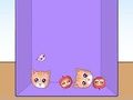 Evolution of Cat Memes 