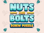 Nuts and Bolts Screw Puzzle 