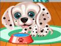 My Puppy Daycare Salon My Puppy Daycare Salon