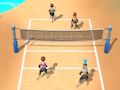 Beach volleyball 3D 