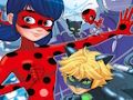Ladybug Find the Differences 