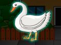 Rescue The Swan Bird 