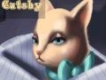 The Great Catsby 