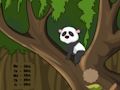 Panda Jungle Escape 
