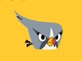 Flappy Falcon! 