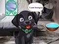 Feed Hungry Black Dog 