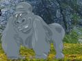 Help The Hungry Chimpanzee 