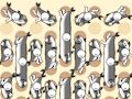 Fish gathering 