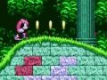 Mighty & Ray In Sonic 2 