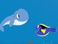 Splash Dash 