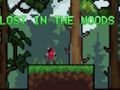 Lost in the Woods 