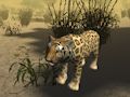 African Cheetah Hunting Simulator 