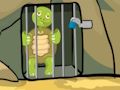 Forest Green Tortoise Rescue 