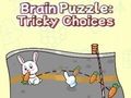 Brain Puzzle: Tricky Choices 