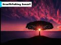 Breathtaking Sunset 