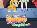 Baby Taylor Puppy Daycare Baby Taylor Puppy Daycare