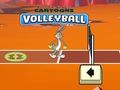 Looney Tunes Cartoons Volleyball 