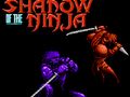 Shadow of the Ninja 