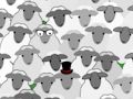 Daily Spot the Goat 