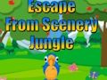 Escape from Scenery Jungle 