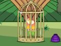 Fischer's Lovebird Rescue 