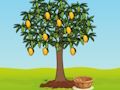 Life of a Tree 