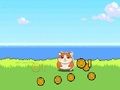 Hamster Kombat Clicker 