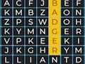 Relaxing Word Search 