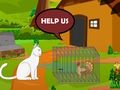 Rescue the Troubled Turkey 
