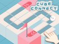 Cube Connect 
