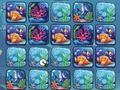 Reef Color Challenge 
