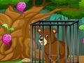 Caged Wilderness 