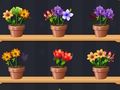 Good Flower Master 