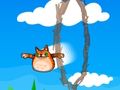 Candy Cat Shot 