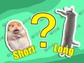 Kids Quiz: Shortest And Longest 