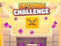 Sponge Challenge 