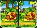Insects Photo Differences 