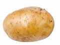 Potato 