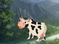 Cow Reach the Shed 