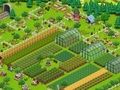Country Life Meadows: A Farming Adventure Country Life Meadows: A Farming Adventure