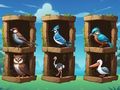 Meet The Birds 