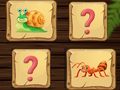 Memory Mystery