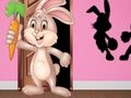 Find the Bunny Hopkin
