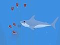 Oceans Shees