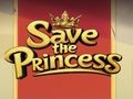 Save the Princess