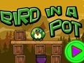 Bird In A Pot