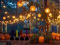 Halloween Lovely Garden Escape