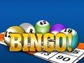 Bingooo 2024